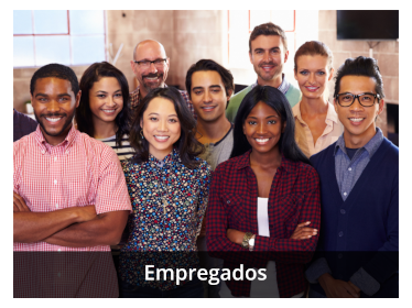 Banner Empregados v2.png